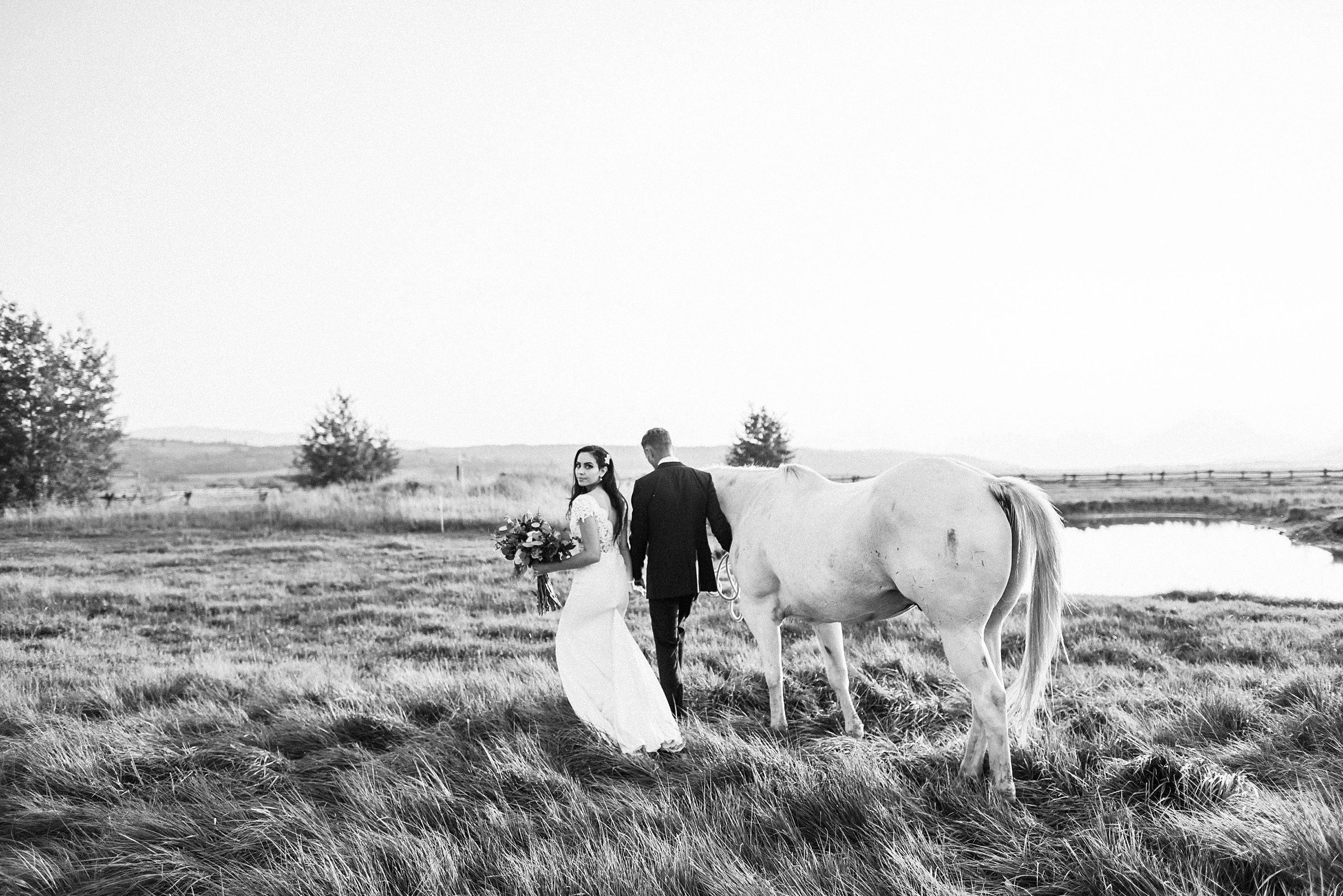 horse at diamond cross ranch wedding
