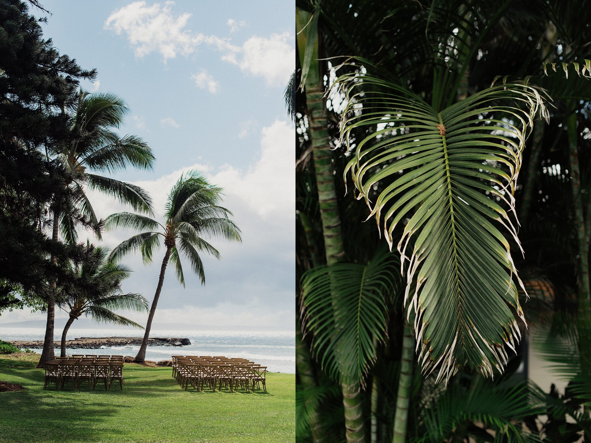 Best flash settings for indoor wedding receptions Eden Strader Blog