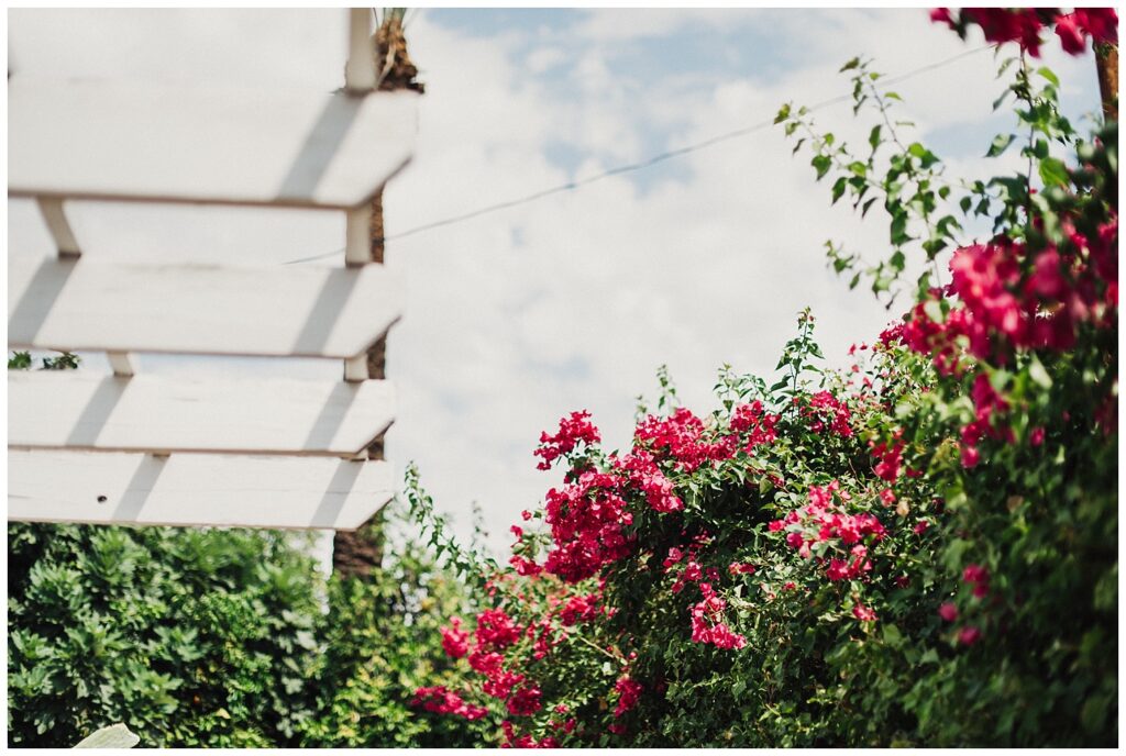 Casa Cody Wedding Palm Springs Eden Strader Blog